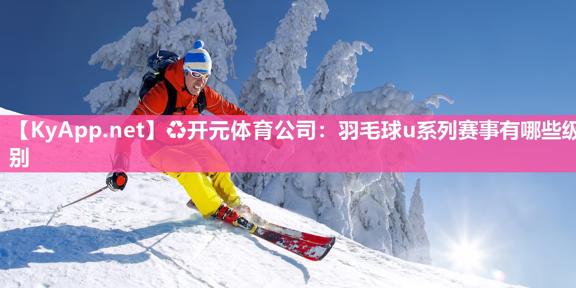 羽毛球u系列赛事有哪些级别